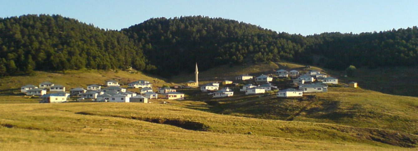 Avcı&ccedil;ayı K&ouml;y&uuml;
